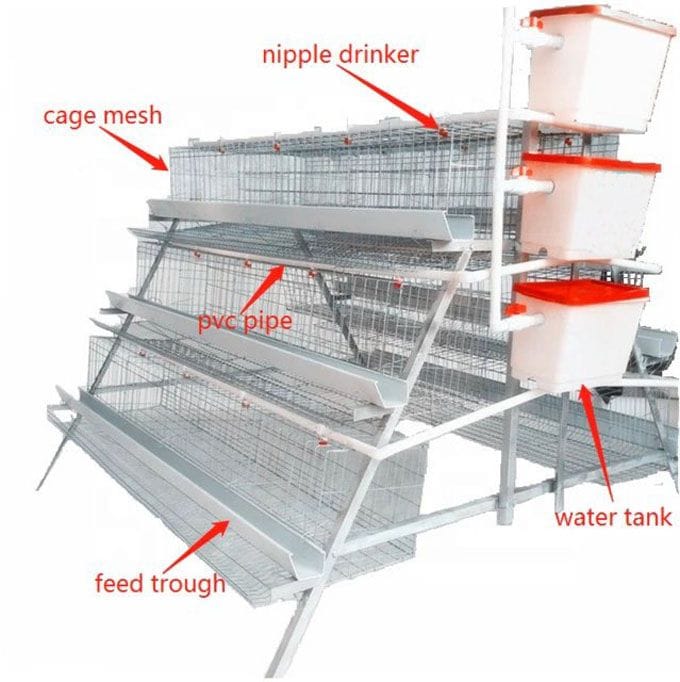 Battery Cages System - 500 Birds